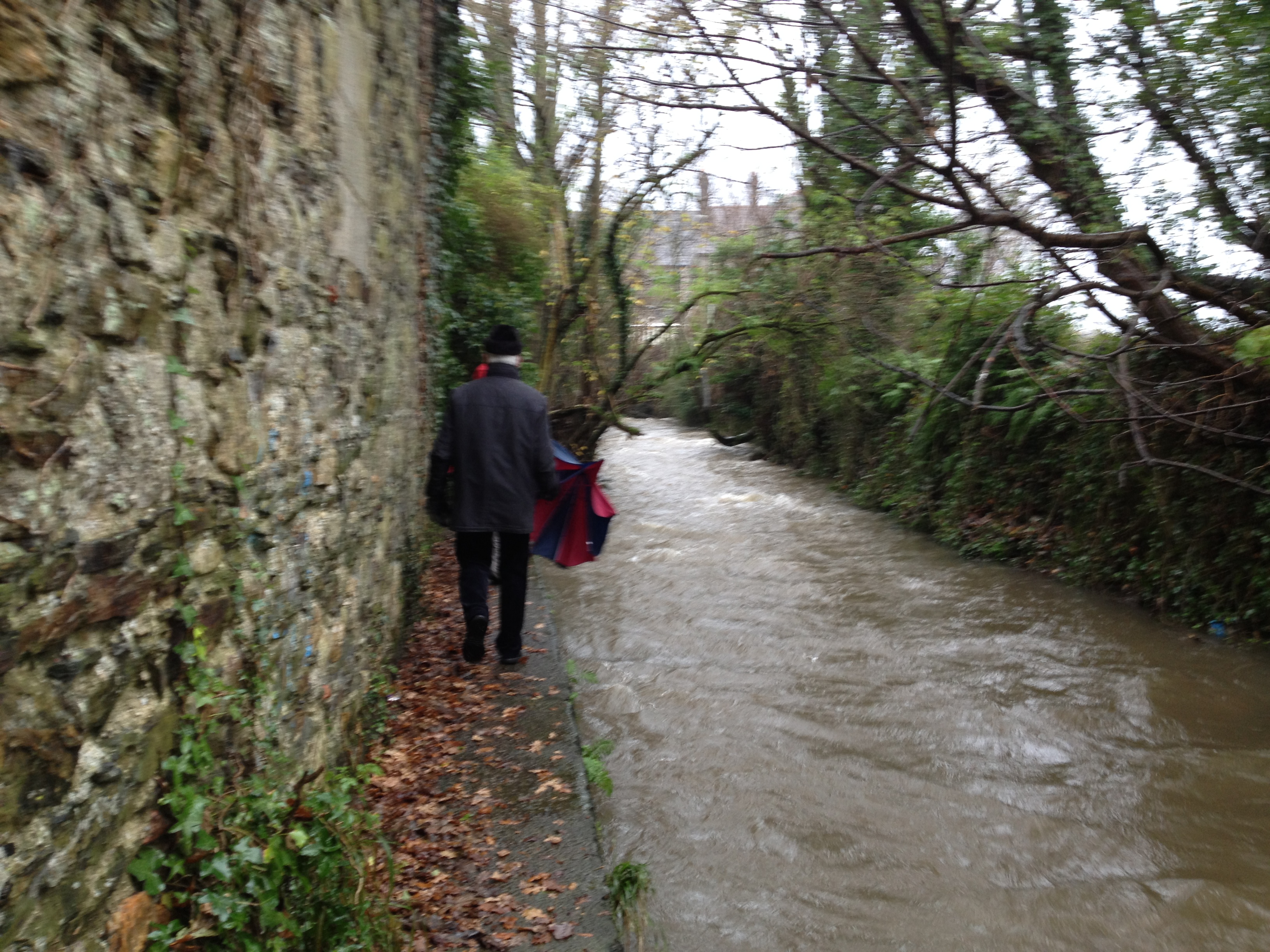 Powerful wet. Powerful water - enough to turn several millwheels, indeed.