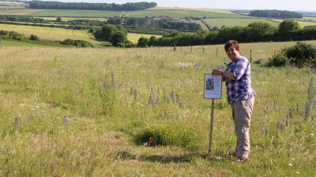 Setting up a Farm Open Day, an event targeted at local people.