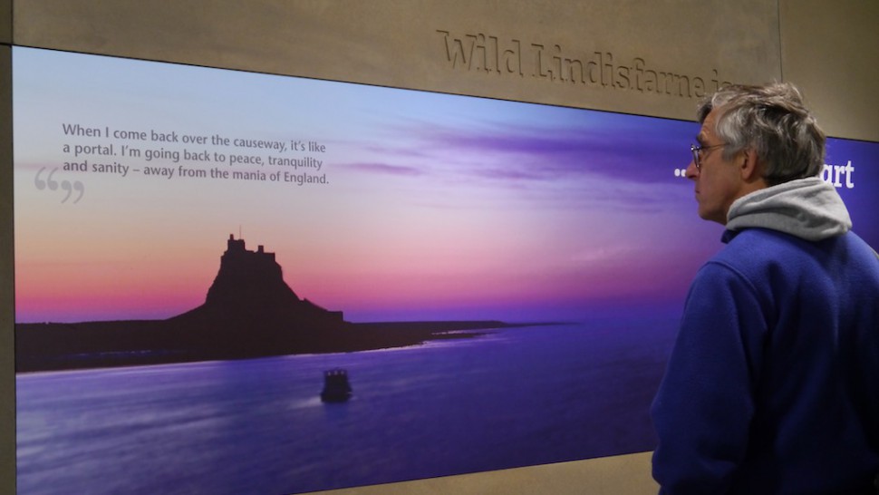 Man looking at introduction panel in Wild Lindisfarne visitor centre