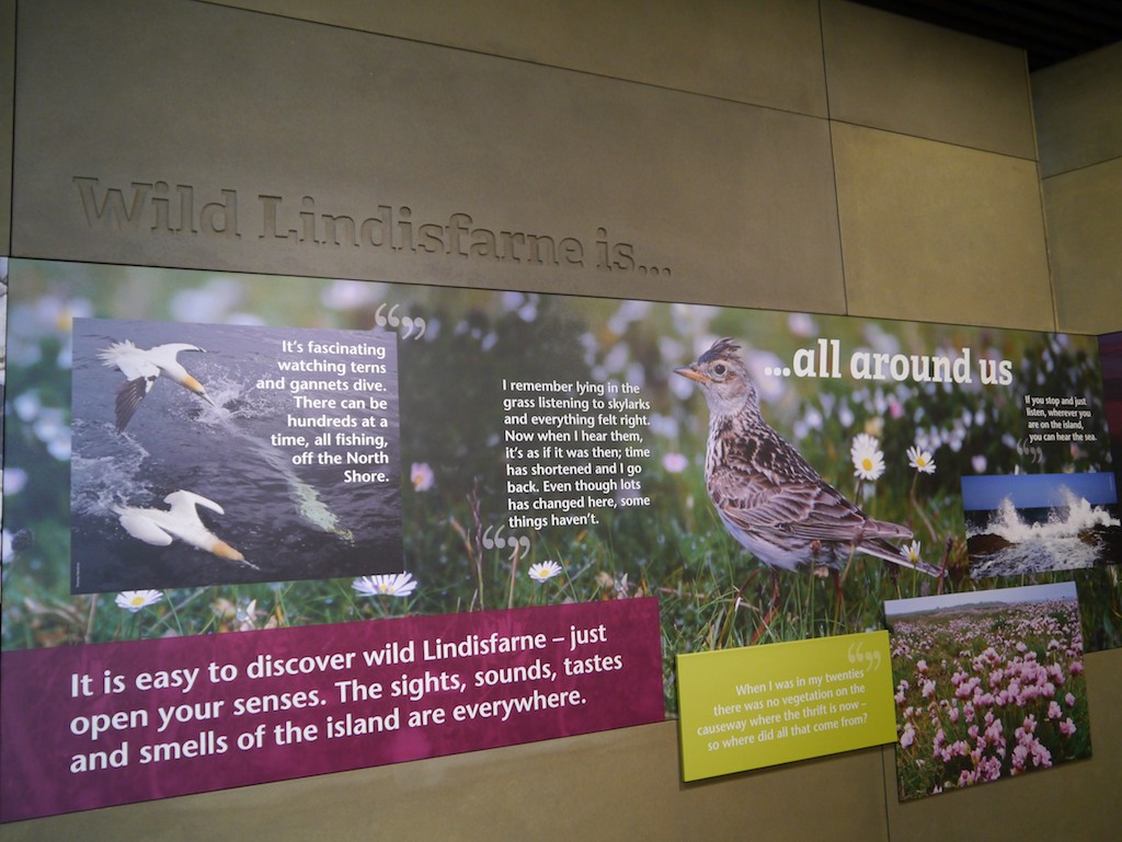 It was about encouraging people to see and experience more of the wild side of Lindisfarne.