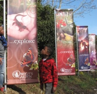 Two boys looking at large banners at Brigits Garden