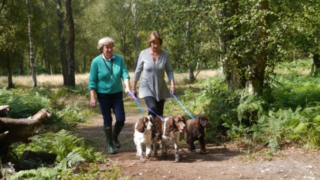 Is your place somewhere where people can enjoy meeting up and going for a walk - if so you could offer them a cup of tea and chat to them.